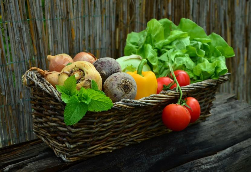 Kandungan antioksidan pada sayur dan buah bagus untuk nutrisi otak.