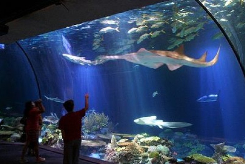 Seaworld Taman Impian Jaya Ancol menggunakan seawater (air laut) untuk menopang kehidupan di dalamnya.