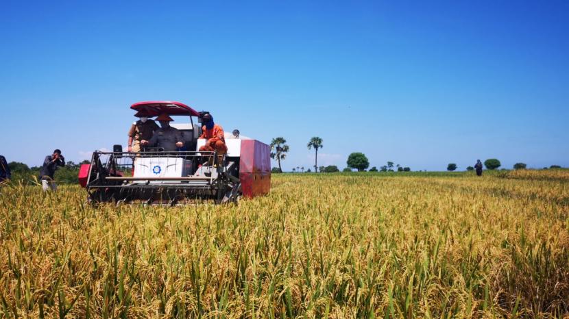 Sebagai salah satu kabupaten penghasil benih padi terbesar di Sumatera Selatan, kabupaten Ogan Komering Ilir (OKI) terus meningkatkan potensinya. 
