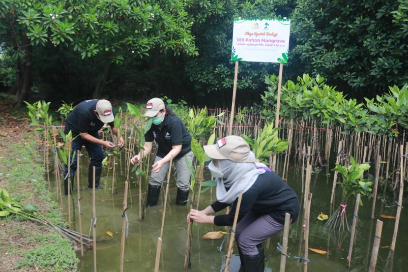 Sebagai salah satu wujud kepedulian perusahaan terhadap kelestarian lingkungan, Bank Mega Syariah bekerja sama dengan lembaga nirlaba Lindungi Hutan melakukan penanaman 100 pohon mangrove di Hutan Mangrove, Angke-Kapuk, Jakarta Utara. 