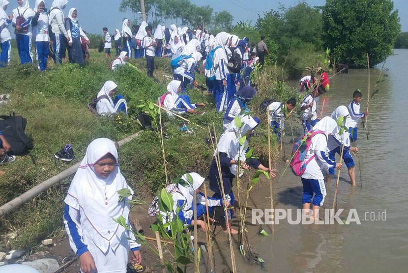 Pelajar SMP dan SMA se-Kecamatan Suranenggala, Kabupaten Cirebon, menanam pohon mangrove di kawasan Sungai Winong, Selasa  (25/4). 