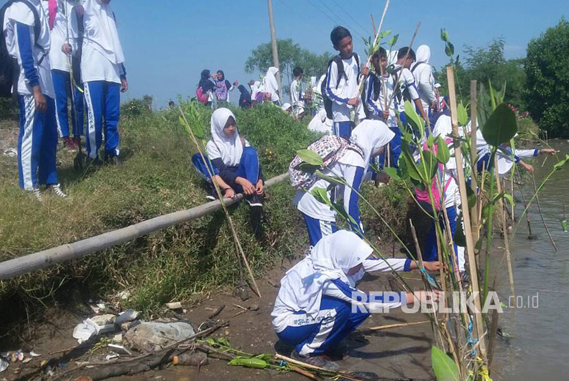 Sebanyak 2.017 pelajar SMP dan SMA se-Kecamatan Suranenggala, Kabupaten Cirebon menanam 5.700 pohon mangrove di sungai Winong, Kabupaten Cirebon, Selasa  (25/4). 