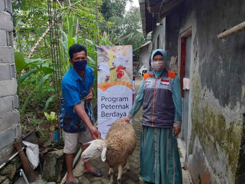 Sebanyak 2 ekor domba disalurkan oleh Relawan Rumah Zakat kepada peternak yang tergabung dalam Badan Usaha Milik Masyarakat (BUMMas) Berkah Jaya Lestari, Kelurahan Kalikajar, Kabupaten Wonosobo pada Sabtu (14/11). 