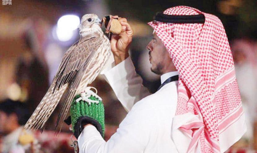 Sebanyak 210 elang falcon atau burung alap-alap akan bersaing pada hari kelima Festival Elang Raja Abdul Aziz di Malham, Riyadh Utara, Arab Saudi. 