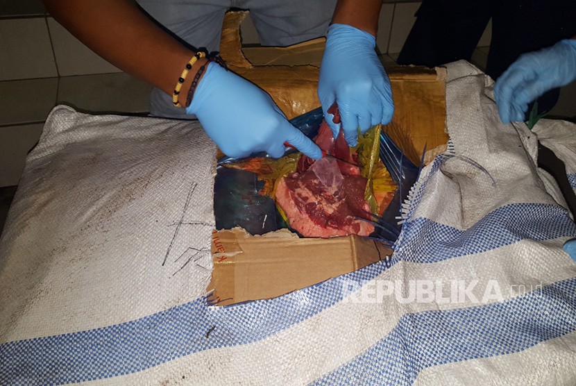 Daginf ilegal. Pemprov Riau memastikan daging impor yang diambil masyarakat dari TPA Bengkalis berbahaya. 