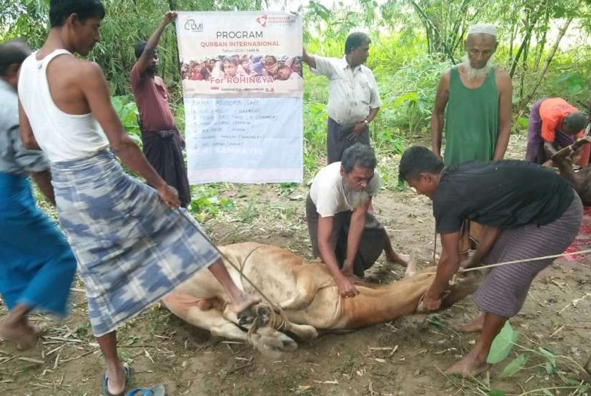 Sebanyak 8 sapi telah didistribusikan di Desa Sembalun Bumbung dan Sembalun Timba Gading. 