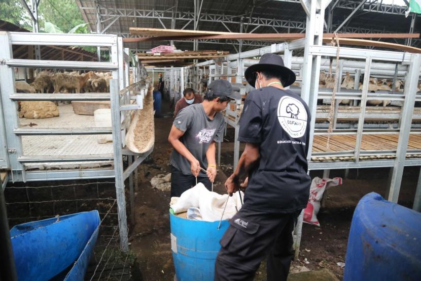Sebanyak sembilan manager kandang sentra ternak Dompet Dhuafa Farm yang berasal dari sentra ternak Dompet Dhuafa di seluruh Indonesia mengikuti Pelatihan Manager Kandang di DD Farm Banten yang berlokasi di Kampung Gowok Kepuh, Kelurahan Sukajaya, Kecamatan Curug, Kota Serang. 