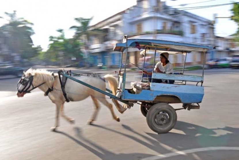 Sebuah Cidomo (angkutan tradisional Lombok) melintas di kawasan kota tua Ampenan, Mataram, NTB, Rabu (3/2).