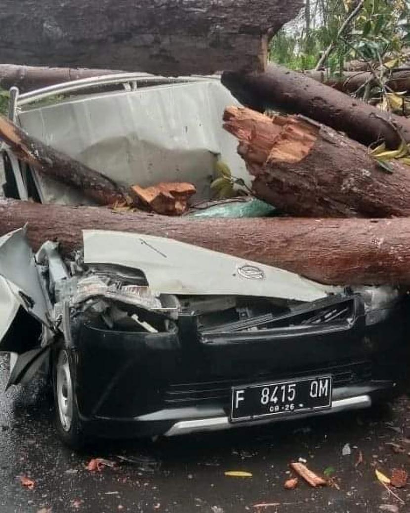 Sebuah kendaraan tertimpa pohon tumbang di ruas Jalan Cibadak-Palabuhanratu, Kecamatan Cikidang, Kabupaten Sukabumi, Ahad (27/2/2022)