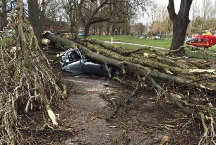 Sebuah mobil hancur tertimpa pohon di Birmingham, Inggris, Selasa (31/3)