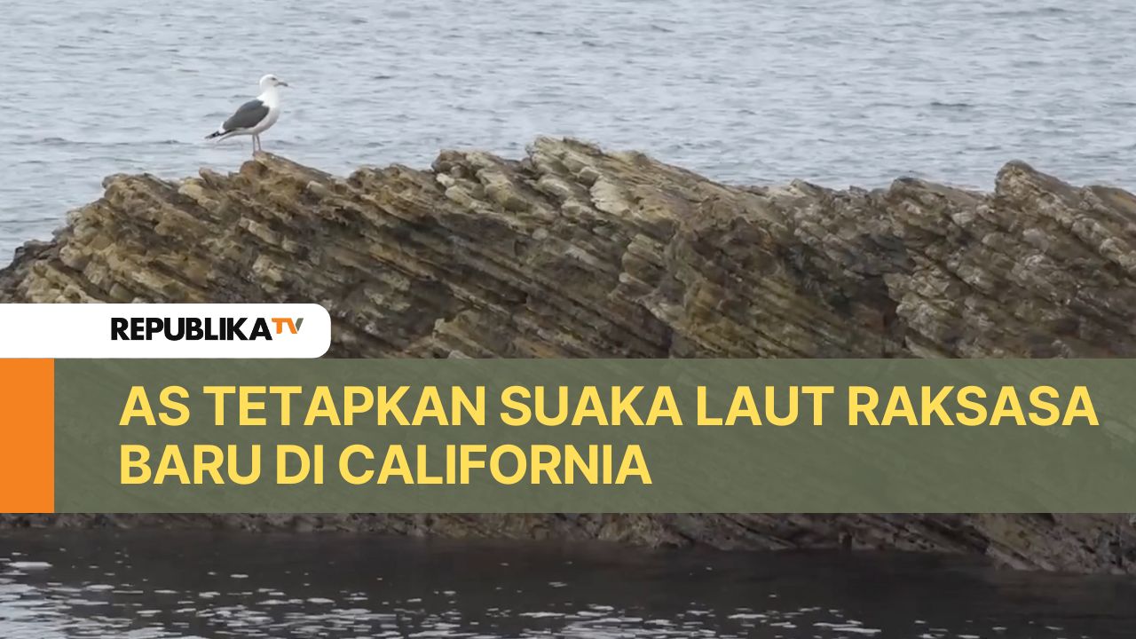 Sebuah perairan di California baru-baru ini ditetapkan menjadi suaka laut baru dan salah satu yang terbesar di Amerika Serikat.