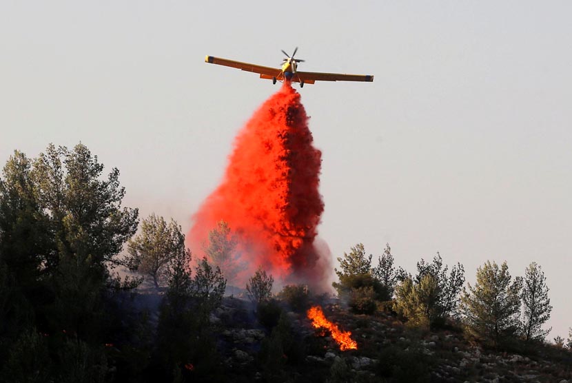 Sebuah pesawat melakukan pemadaman  kebakaran hutan, dekat pemukiman komunal Nataf, dekat dengan Yerusalem 23 November 2016. 