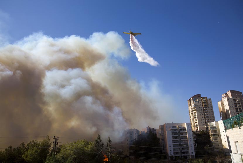 Sebuah pesawat melakukan pemadaman  kebakaran hutan di Haifa, Israel.