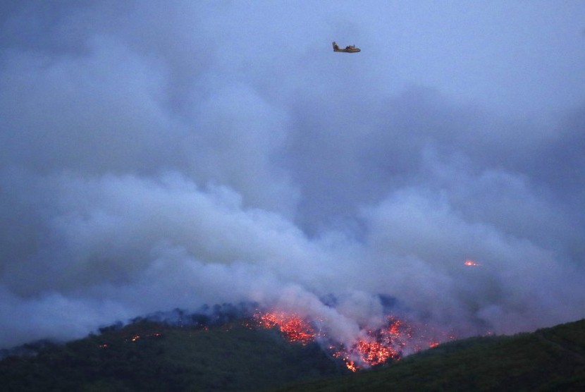 Sebuah pesawat terbang di atas hutan yang terbakar di Kota Mati, Yunani. Otoritas regional mengumumkan keadaan darurat setelah api membakar hutan pinus di kota tersebut. Foto diambil pada Senin (23/7).