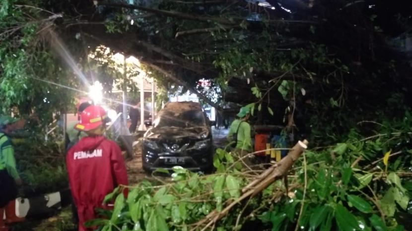 Sebuah pohon berukuran besar tumbang di Jalan HR Rasuna Said, tepatnya di dekat Gedung Cyber 2 Tower, Setiabudi, Jakarta Selatan, Jumat (23/4) malam.
