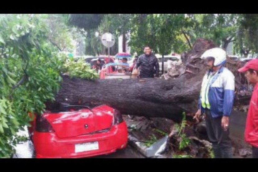 Sebuah pohon besar tumbang dan menimpa mobil di Jalan Sawergading.