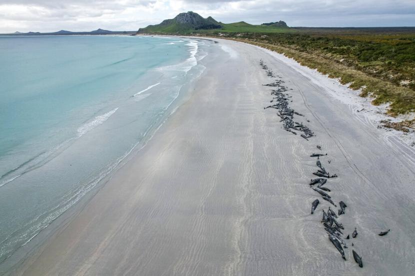 Pantai di Selandia Baru. Ini destinasi wisata paling berbahaya menurut wisatawan.