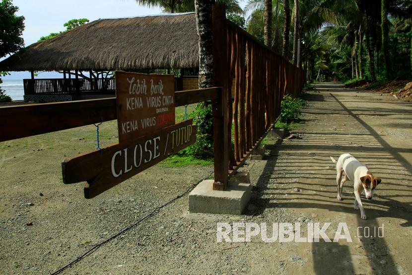 Seekor anjing melintasi bangunan sekitar Pantai Besji yang ditutup di Jayapura, Papua, Rabu (6/5/2020). Pemerintah Provinsi Papua memperpanjang masa tanggap darurat penanganan COVID-19 hingga 4 Juni 2020.