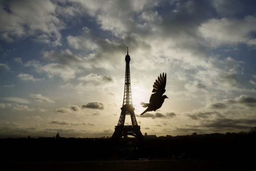 Seekor burung terbang di depan Menara Eiffel yang masih tertutup untuk umum di hari pertama dari tiga hari berkabung nasional, di Paris, Minggu (15/11).