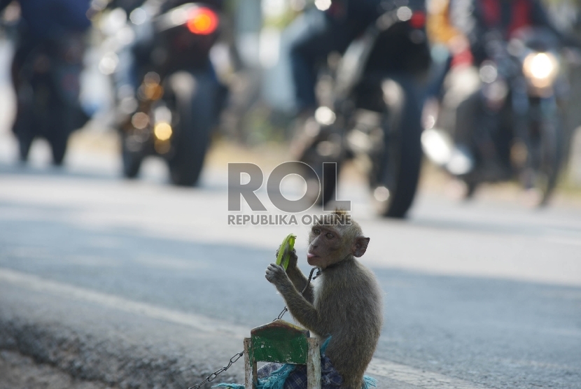 Topeng monyet (ilustrasi)