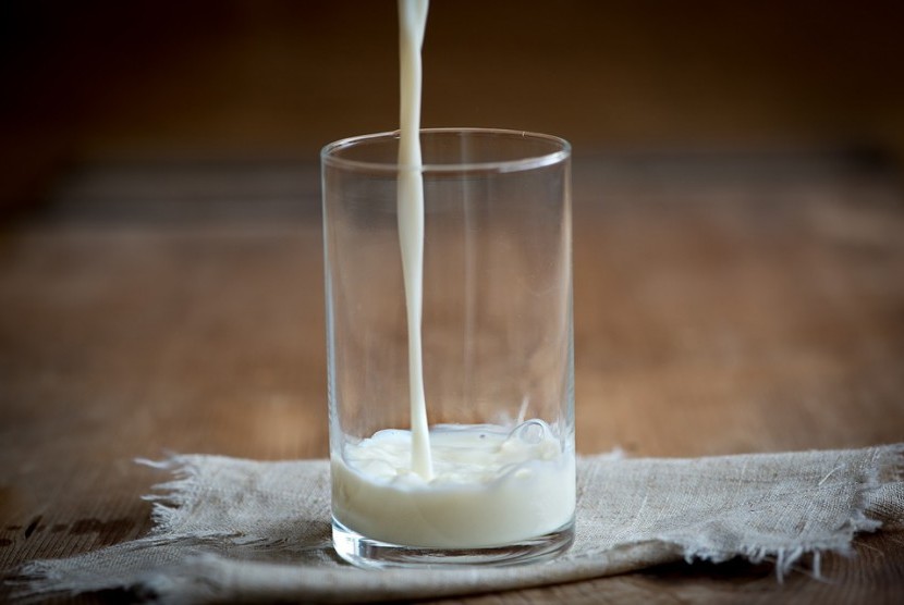Studi terbaru mengklaim segelas susu setiap hari dapat secara signifikan mengurangi risiko menderita penyakit jantung. (ilustrasi).