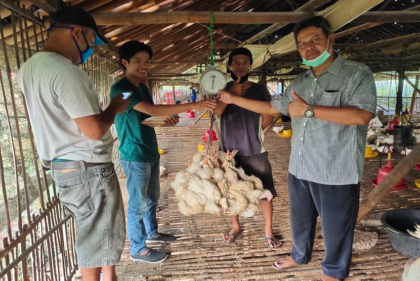 Sejak disepakatinya komitmen pembelian ayam ras peternak mandiri oleh 22 perusahaan mitra peternakan, sekitar 900 ribu ekor ayam dari lima provinsi sudah dibeli.