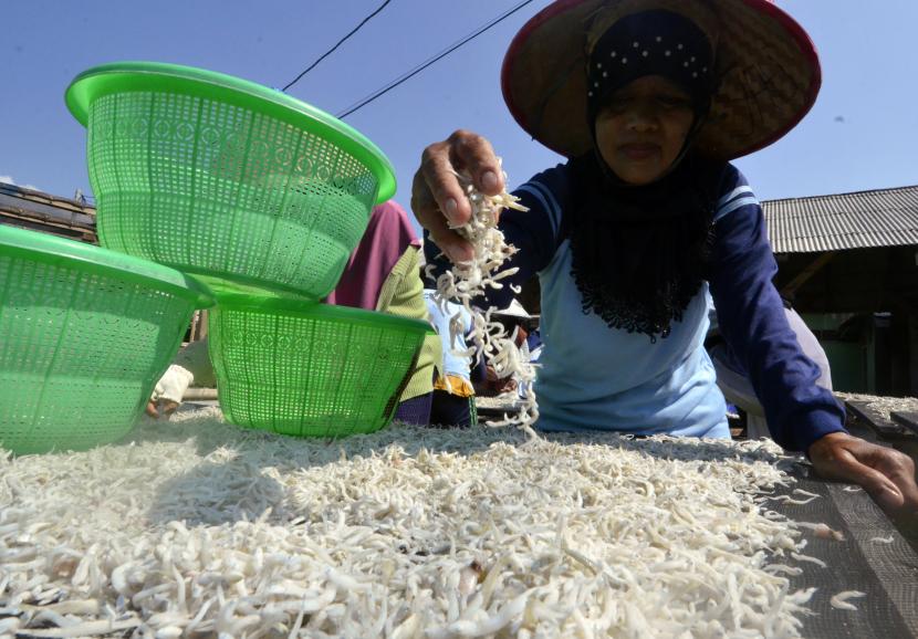 Sejorang pekerja menjemur dan mengolah ikan teri di pusat industri pengolahan teri di Pulau Pasaran Bandar Lampung, Lampung, Sabtu (22/8). Menteri Perindustrian Agus Gumiwang Kartasasmita optimistis kinerja industri pengolahan bisa tumbuh sekitar 4,7 persen sampai 5,5 persen pada 2021.
