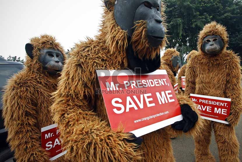 Sejumlah aktivis menggelar aksi penyelamatan orang utan di depan Istana Merdeka, Jakarta Pusat, Kamis (14/3). (Republika/Adhi Wicaksono)