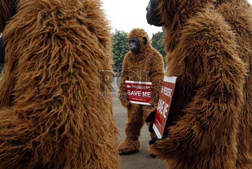 Sejumlah aktivis menggelar aksi penyelamatan orangutan di depan Istana Merdeka, Jakarta Pusat, Kamis (14/3). (Republika/Adhi Wicaksono)