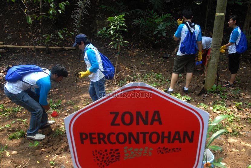 Sejumlah anggota Komunitas Peduli Ciliwung dan Greeneration Indonesia membersihkan sampah yang terdapat di bantaran Kali Ciliwung di kawasan Condet, Jakarta Timur, Senin (11/11).  (Republika/Rakhmawaty La'lang)