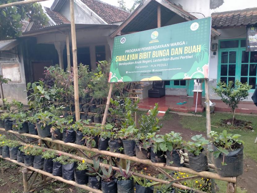 Sejumlah bibit buah dari program Kampung Buah Bercahaya ditanam di lahan warga, Dukuh Baran, Buring, Kedungkandang, Kota Malang.