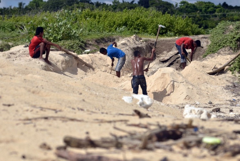 Sejumlah buruh harian melakukan penambangan pasir laut di pinggir pantai Desa Pero Bantang, Sumba Barat Daya, Nusa Tenggara, Timur, Rabu, (24/2). (Ilustrasi)