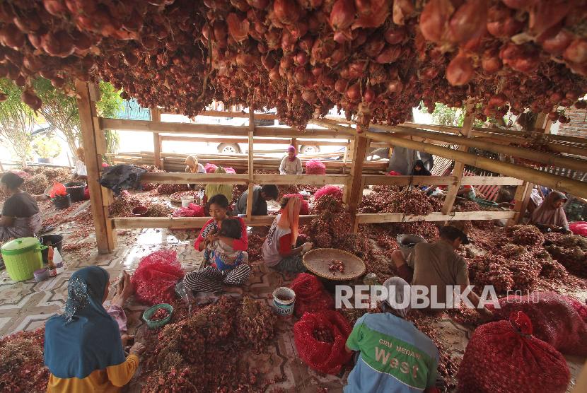 Sejumlah buruh mengupas kulit bawang. Belasan Ibu Rumah Tangga (IRT) di Kabupaten Kotabaru, Kalimantan Selatan, mengambil upah mengupas bawang merah tanpa mempedulikan kesehatanya. 