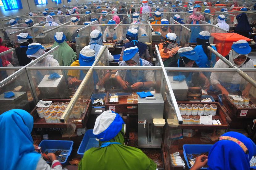 Sejumlah buruh rokok memproduksi Sigaret Kretek Tangan (SKT) di Kudus, Jawa Tengah, Jumat (2/9/2022).