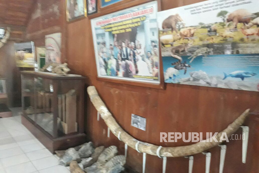 Sejumlah fosil dan benda peninggalan masa Hindu Buddha tersimpan rapi di museum desa atau rumah kepala desa Banjarejo Grobogan.