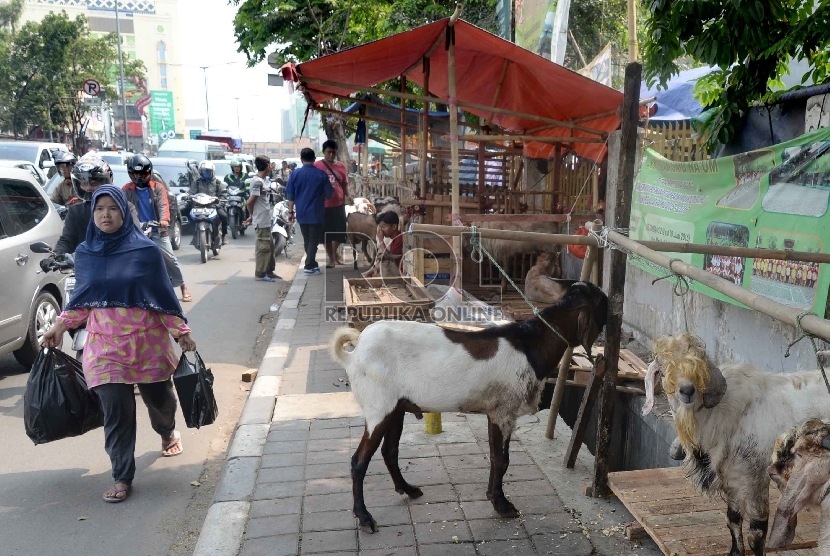 Sejumlah hewan kurban dijajakan di Trotoar Jalan KH Mas Mansyur, Tanah Abang, Jakarta Pusat, tahun lalu.   (Republika/Yasin Habibi)