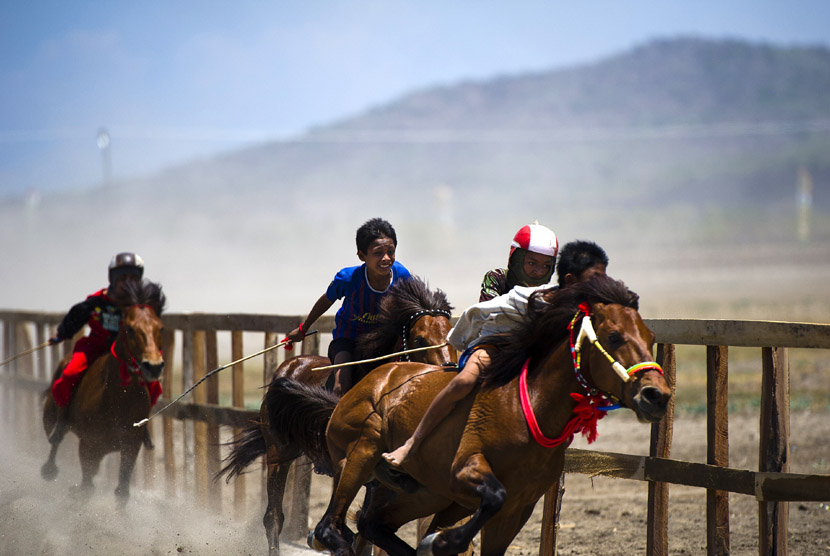   Sejumlah joki cilik memacu kuda mereka saat gelaran Pacuan Kuda Tradisional (Main Jaran)  di kawasan Penyaring, Moyo Utara, Sumbawa, NTB, Ahad (11/11). (Antara/Ismar Patrizki)