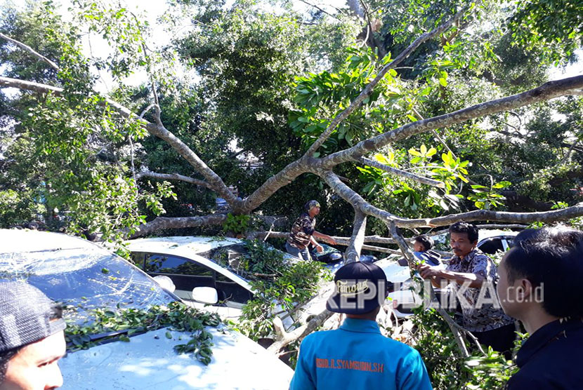 Sejumlah kendaraan rusak tertimpa pohon di Kota Sukabumi (ilustrasi). Baru mulai hujan, empat bencana alam langsung menerjang Kota Sukabumi.