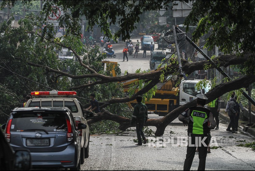 Sejumlah kendaraan tidak dapat melintas akibat pohon yang tumbang di Kota Depok, Jawa Barat. Ilustrasi.
