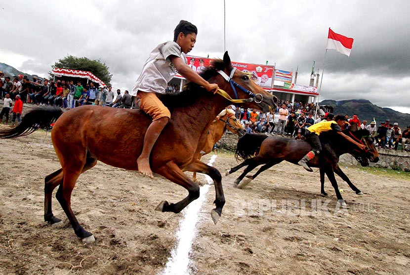 Sejumlah kuda memasuki garis finish pada Lomba Pacuan Kuda Tradisional Gayo di lapangan Haji Muhammad Hasan Gayo Belang Bebangka