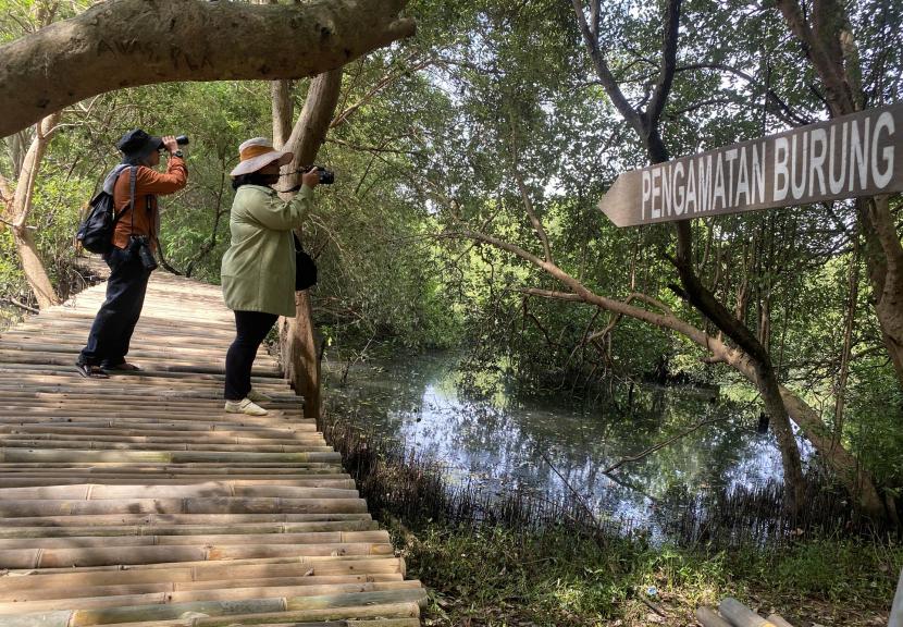 Pelaksana Tugas (Plt) Deputi Kemaritiman dan Sumber Daya Alam Badan Perencanaan Pembangunan Nasional (Bappenas) Vivi Yulaswati menyatakan, kondisi ekosistem gambut dan mangrove terus menurun.