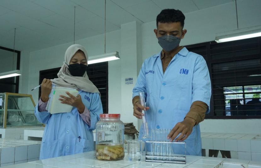 Sejumlah mahasiswa Universitas Muhammadiyah Malang (UMM) yang tergabung dalam satu tim meneliti manfaat limbah udang sebagai antibakteri untuk mengobati dermatitis tangan akibat penggunaan alkohol. Hal ini berarti limbah udang bisa dijadikan sebagai pengganti hand sanitizer alkohol. 