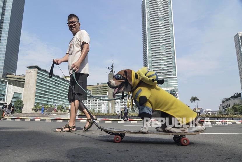 Sejumlah masyarakat berolahraga membawa hewan peliharaannya pada saat Hari Bebas Kendaraan Bermotor (HBKB) pada bulan Ramadhan 1440 H di Bundaran HI, Jakarta Pusat, Ahad (12/5).