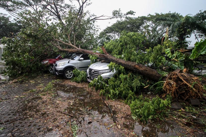 Sejumlah mobil yang terparkir tertimpa pohon di perumahan Kahuripan Nirwana Sidoarjo, Jawa Timur, Ahad (23/10/2022). Angin kencang disertai hujan deras yang menerjang di wilayah setempat mengakibatkan sebuah kaca hotel pecah dan puluhan pohon roboh. 