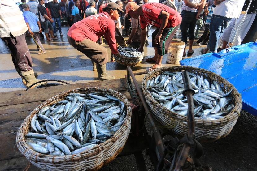 Sejumlah nelayan membongkar ikan hasil tangkapan di pelabuhan perikanan (ilustrasi). Kementerian Kelautan dan Perikanan (KKP) melalui Direktorat Jenderal Perikanan Tangkap (DJPT) mencatat penerimaan negara bukan pajak (PNBP) sumber daya alam perikanan tangkap hingga 25 Mei 2022 mencapai Rp 512,38 miliar.