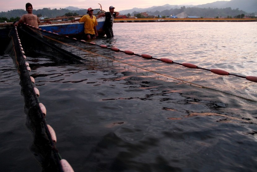 Sejumlah nelayan menarik jaring pukat di atas perahu di Mamuju, Sulawesi Barat, Kamis (19/7). 