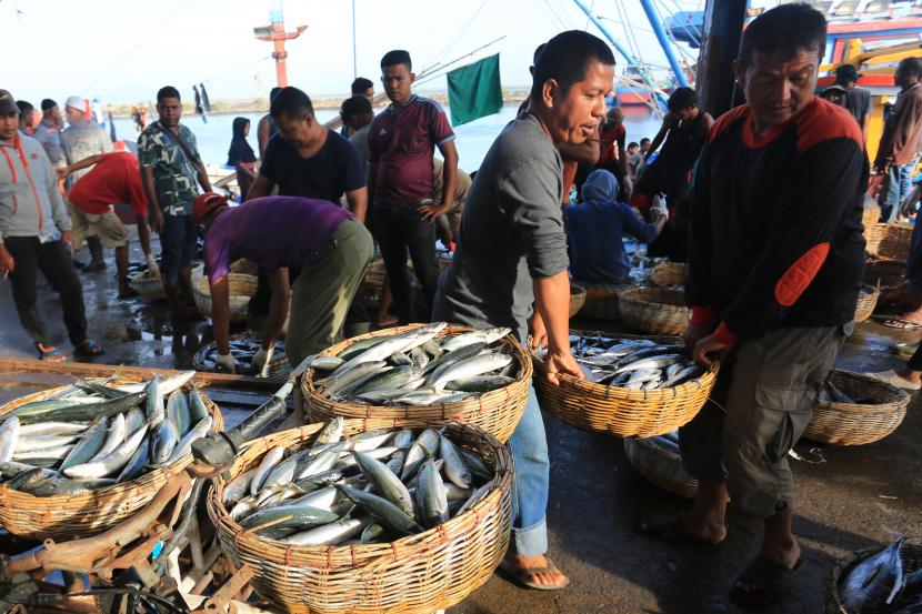 Sejumlah nelayan menyortir ikan sebelum didistribusikan (ilustrasi).
