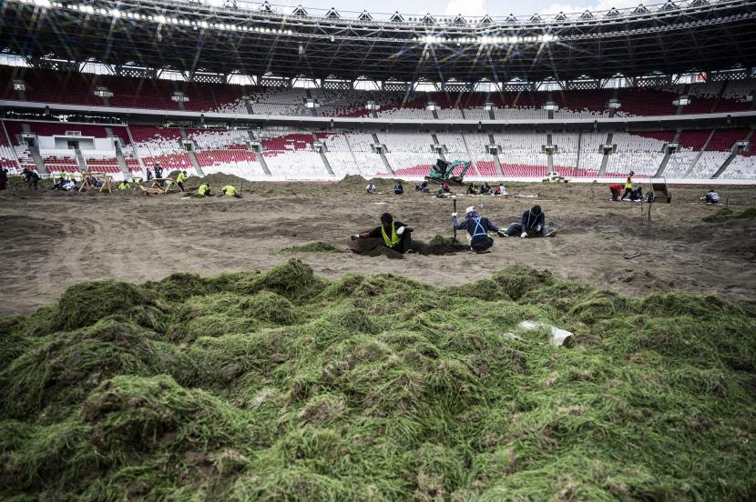 Sejumlah pekerja melakukan perawatan media tanam saat revitalisasi rumput Field of Play (FOP) lapangan Stadion Utama Gelora Bung Karno (SUGBK) di Jakarta.