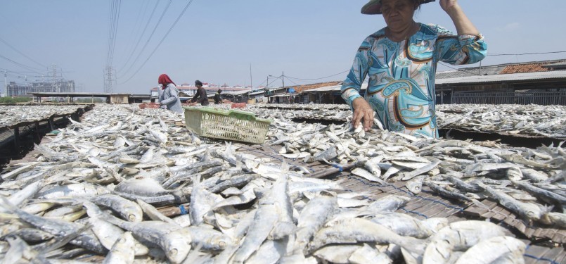 Sejumlah pekerja menjemur ikan asin di Perkampungan Nelayan Muara Angke, Jakarta Utara, Ahad (11/9). Saat ini harga ikan asin di Ibu Kota merosot tajam, sekitar 40 persen. (Republika/Aditya Pradana Putra)