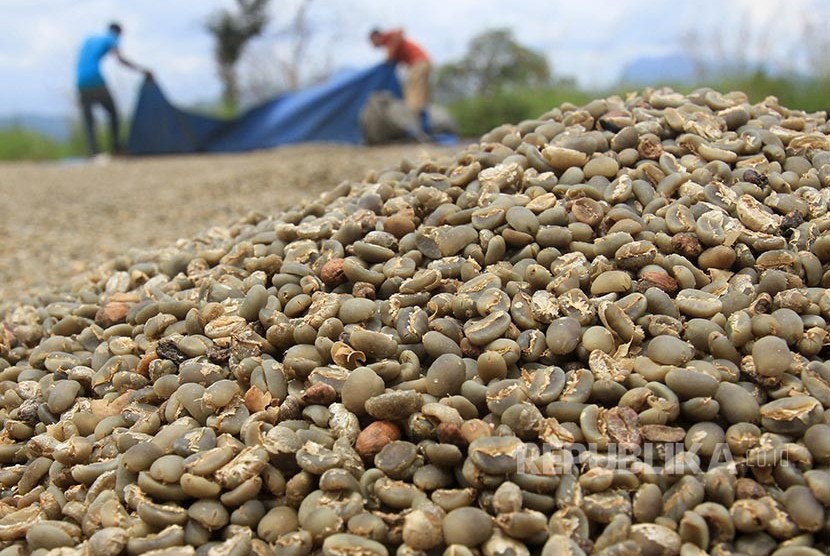 Sejumlah pekerja menjemur kopi arabika di Desa Negeri Antara, Kecamatan Pintu Rime Gayo, Bener Meriah, Aceh (ilustrasi)